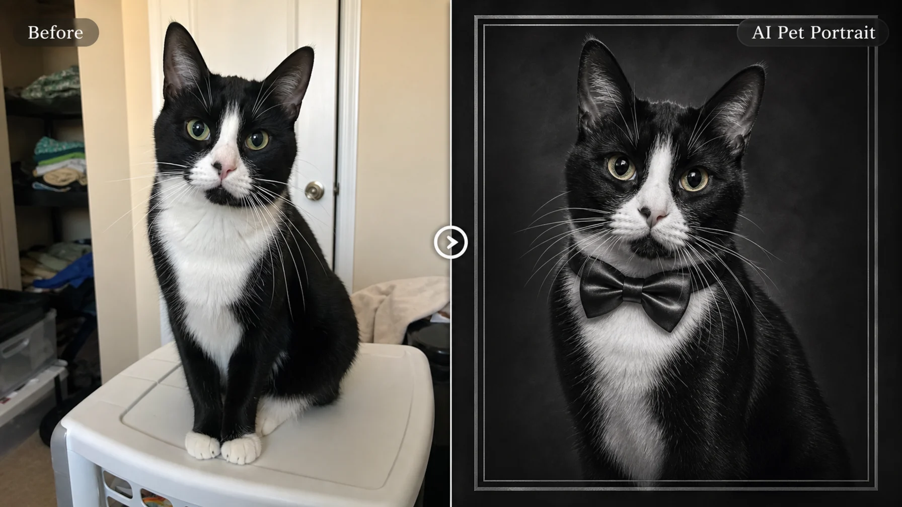 AI pet portrait generator example turning a tuxedo cat photo into a monochrome gallery portrait